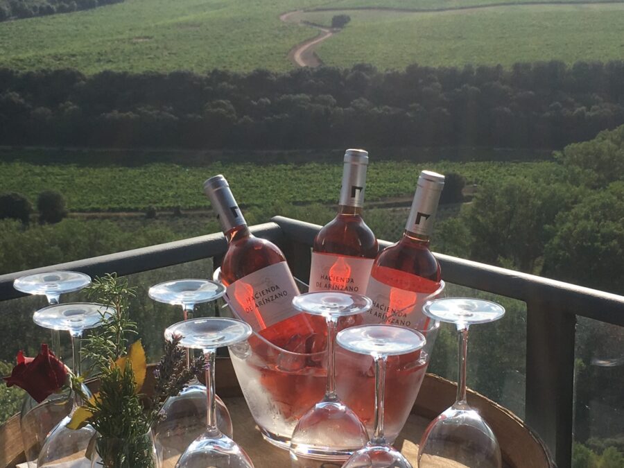 Wine Tasting Tips for Beginners and Enthusiasts