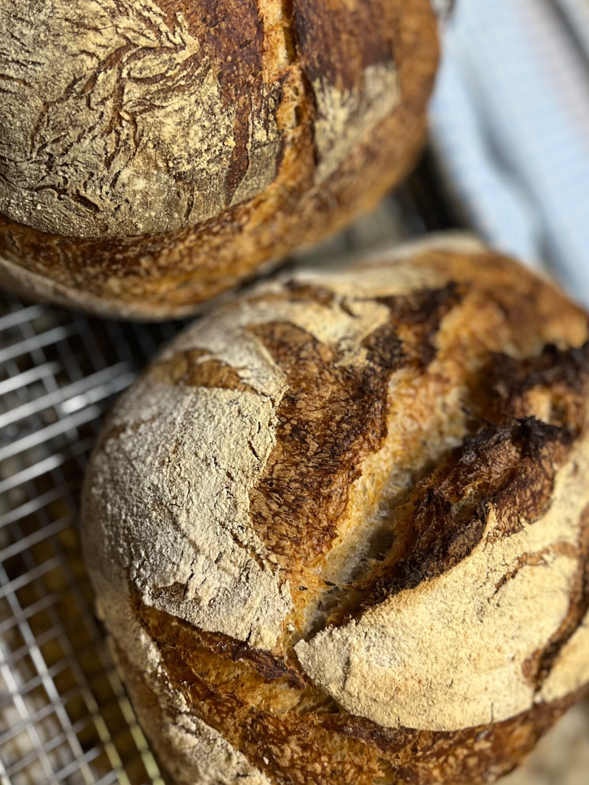 European Sourdough Rye